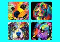 Pārbaudi savu šarmu – izvēlies varavīksnes suni